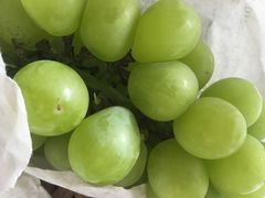 -马陆小张葡萄园农家乐