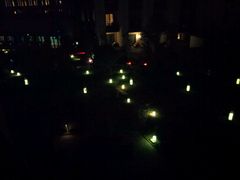 -上海崇明金茂凯悦酒店