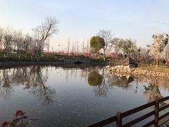 -田园东方蜜桃村的田野营地