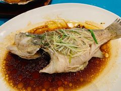 清真鲈鱼-古南都·老广东酒楼(龙江店)