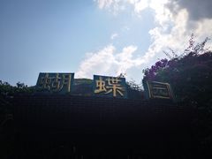 -野象谷景区