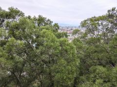 -仙岳公园