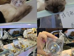 -鹏欣水游城