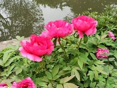 -狼山风景名胜区