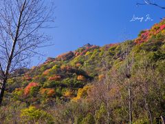 -秦岭风景区