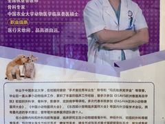 -宠爱国际动物医院·消化内科·心肾内科·ISFM猫友好(望京店)