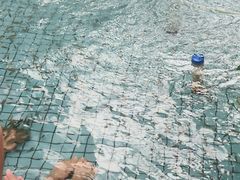-水立方嬉水乐园
