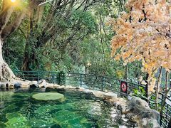 -湖泉半山温泉