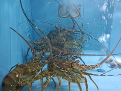 -壹号港海鲜酒楼