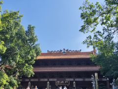 -深圳仙湖植物园