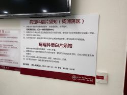-复旦大学附属妇产科医院(杨浦院区)
