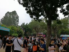 -珠江夜游广州塔·中大码头