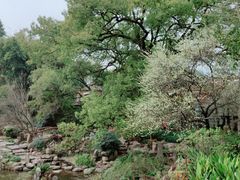 -南岳衡山风景名胜区-南岳大庙