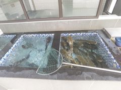 -江龙饭店·乌江豆腐鱼(乌江老桥头店)