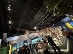 -国家自然博物馆