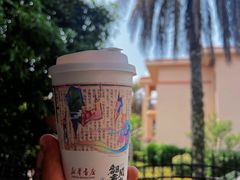 -圣爵菲斯大酒店(长沙世界之窗店)