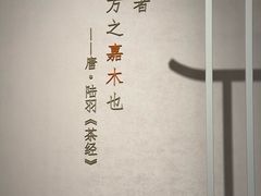 -中国茶叶博物馆(双峰馆区)