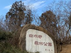 -白水寺森林公园