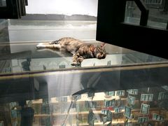 -猫的天空之城概念书店(杭州南宋御街店)