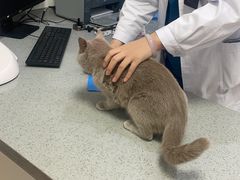 -萌兽医馆·绝育·24小时内科·宠物医院(德胜店)