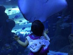 -成都浩海立方海洋公园