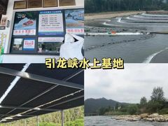 -老李家土菜馆·安吉地标美食