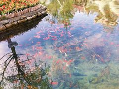 -水磨沟公园