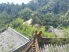 -潭柘寺景区