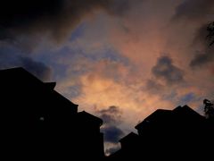 -上海市位育初级中学