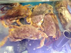 -盒马鲜生(悠方店)