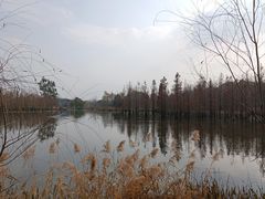 -白鹭湾湿地公园