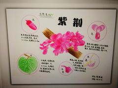 -上海昆虫博物馆