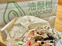 -油梨树 AVOCADO TREE(亮马桥店)