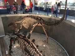 -国家自然博物馆