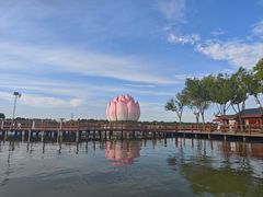 -白洋淀风景区