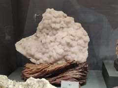 -湖南省地质博物馆