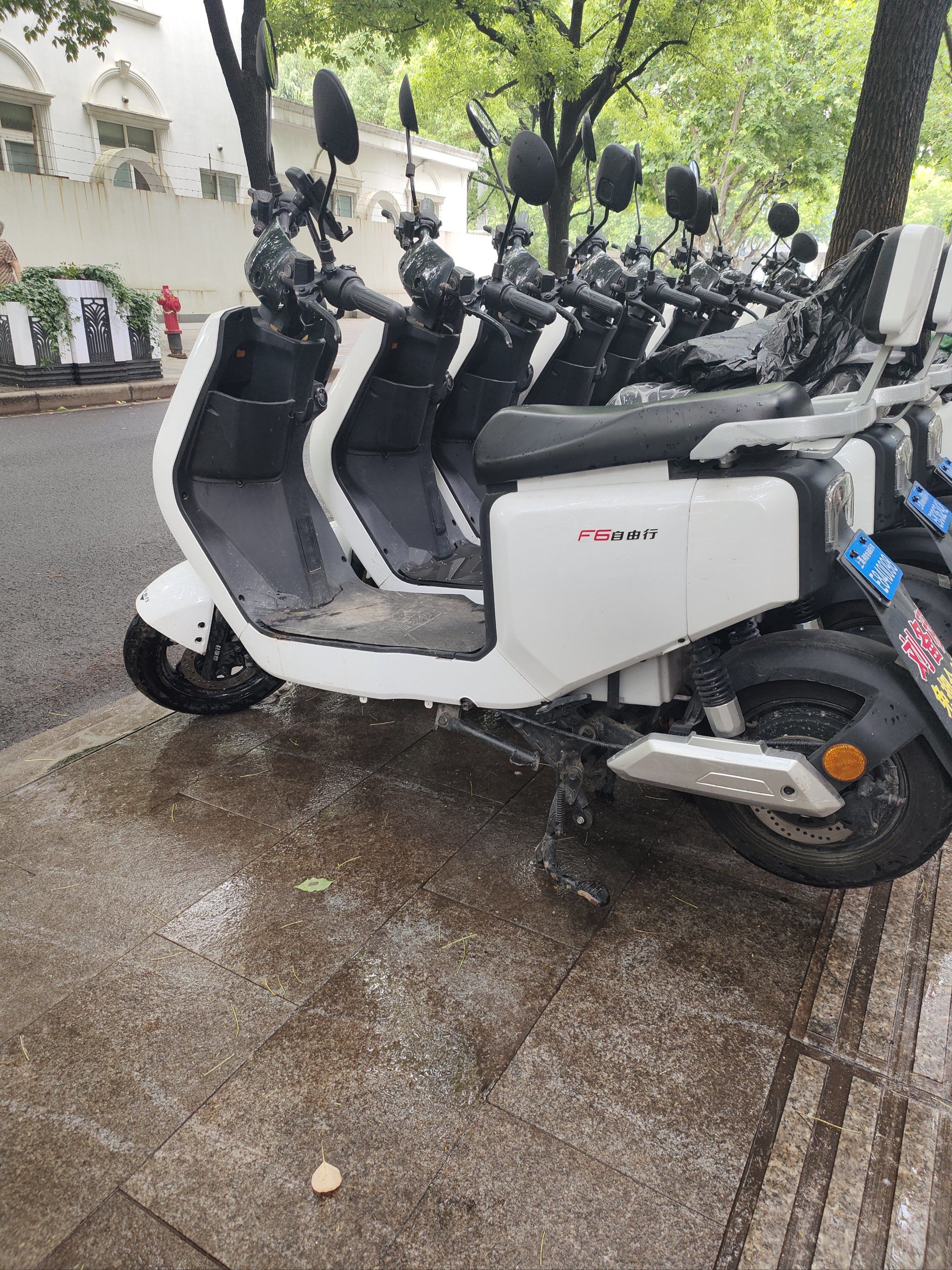 电动车潮流来袭