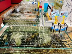 -张家卫·阳江菜·小海鲜(肥婆湾桥店)