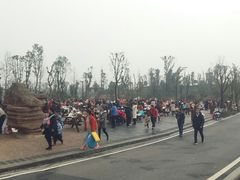 -枫香湖儿童公园