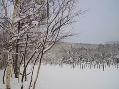 -青池