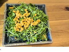 -海胆小馆(东北水饺·春柳店)