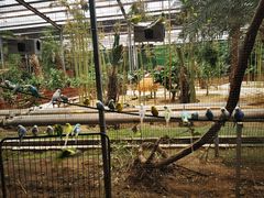 -呀路古热带植物园