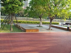 -光明港公园
