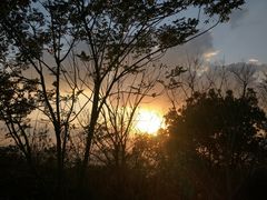 -杭州半山国家森林公园