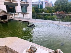 -行者书屋大堂吧 ·下午茶(南京圣和府邸酒店)