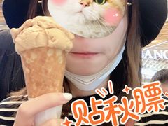 焦糖海盐饼干-LUNEURS月乐诗 冰淇淋咖啡(环贸店)