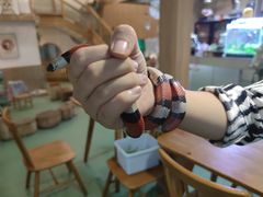-藦茜花园宠物主题亲子互动体验馆(国顺东路店)