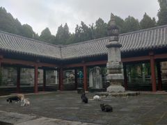 -四门塔风景区