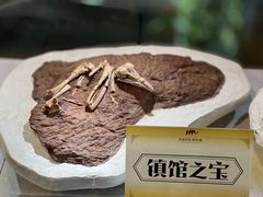 -河南自然博物馆