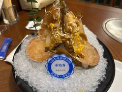 鲜活小青龙-东海怡品海鲜豆捞(星街坊店)